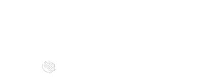 logo th-tiimi oy